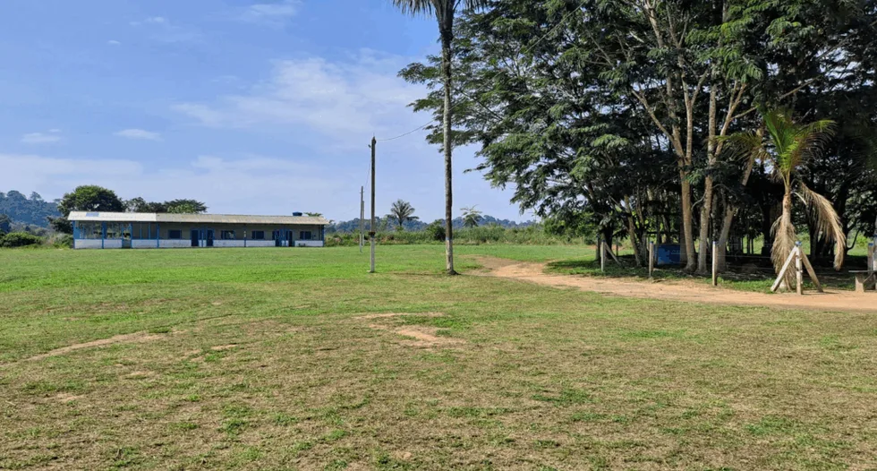 GoldMining PEA outlines $532M value, 10-year life for São Jorge project - source image from Mining.com
